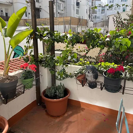 Daire Ruzafa Centro Ii Valensiya