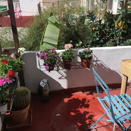 Daire Ruzafa Centro Ii Valensiya