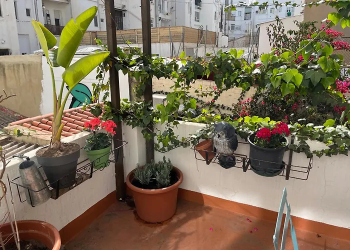Apartamento Ruzafa Centro Ii Valencia